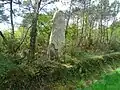 Menhir von Lann