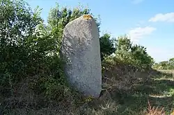 Menhir de la Chenillée