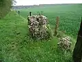 Reste des Menhirs Saint-Maerin