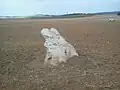 Menhir La Pierre-au-coq