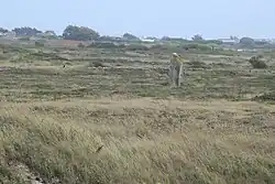 Menhir Mané Meur 1