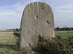 Pierre levée de La Bretaudière