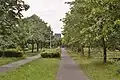 Goetheallee