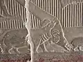 Relief: ein Flusspferd greift ein Nilkrokodil an