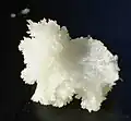 Zimtsäuremethylester