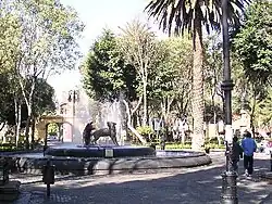 Kojoten-Brunnen im Jardín Centenario
