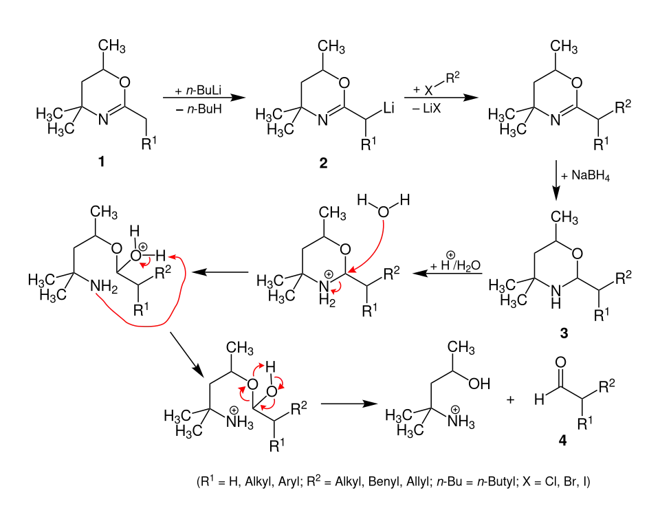 Vorgeschlagener Reaktionsmechanismus der Meyers-Aldehyd-Synthese
