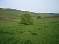 Naturschutzgebiet der „Fremde Pfingstrose“