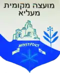 Wappen von Miʿilya