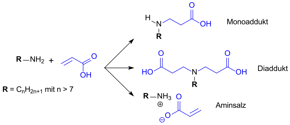 Michael-Addition von Acrylsäure an Amine