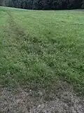 Zufluss aus der Au