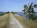 Damm im Roskilde-Fjord