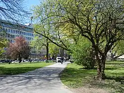 Miklošičev park