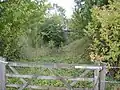 Planum der Strecke, im Hintergrund die Eisenbahnbrücke über den Østre Ringve