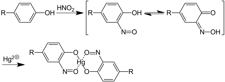Millon-Reaktion zum spezifischen Nachweis para-substituierter Phenole (beispielsweise Nachweis von Tyrosin)