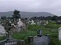 Freilegung von Flächen und Grabmalen