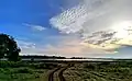 Minneriya-Nationalpark