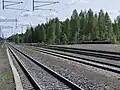 Gleisanlagen in Richtung Kemijärvi im Hintergrund Rentiere
