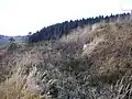 Die Westseite mit dem Hanggraben