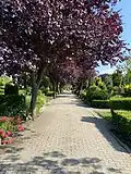 Mittelweg Richtung Norden