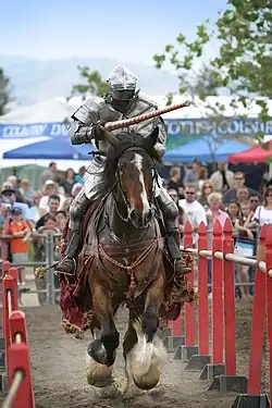 Ritterpferd beim Turnier
