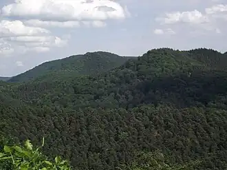 Mohnenberg (östlicher Wasgau): Blick von Burg Schöneck