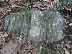 Polissoir Roche Grénolée