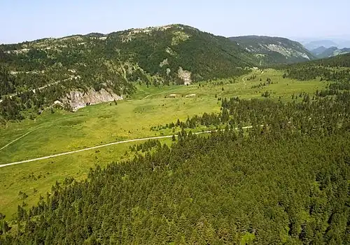 Die Mokra Gora ist stark bewaldet