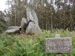 Pena Molexa