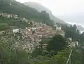 Molina
