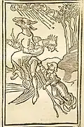Verwandlung und Flugzauber