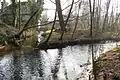 Mündung des Mühlenbachs in die Schwalm