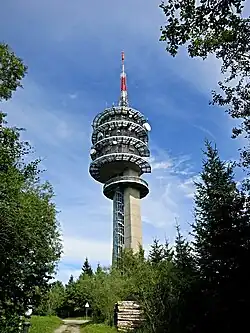 Bild des Objektes
