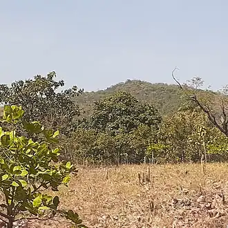 Mont Sokbaro (2025)