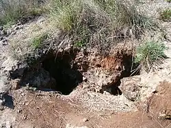 Fumarole