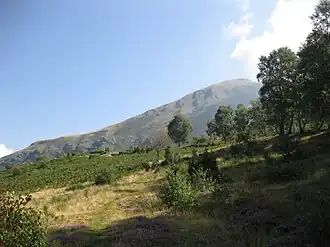 Monte Berlinghera, Blick vom Weg zwischen San Bartolomeo und Bocchetta Chiaro aus.