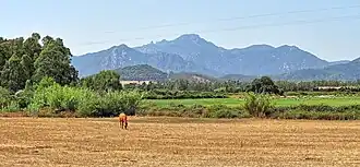 Das Massiv des Monte Ferru, mittig, von Norden her gesehen