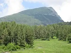 Monte Stivo, vom Weg zwischen Passo S. Barbara und der Alm le Prese aus gesehen