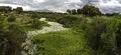 Dehesa bei Montehermoso