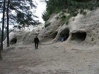 Sandsteinhöhlen am Mont Vully