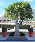 Gefallenendenkmal