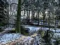 Moorbachtal nördlich Berge