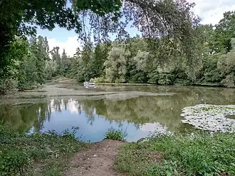 Moorteich