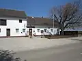 Mooswirt