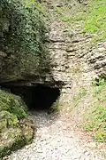 Portal