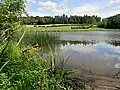 Morgetshofsee