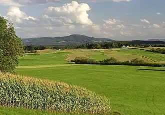 Blick von Tauchersreuth südostwärts zum Moritzberg