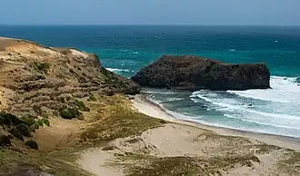 Elephant Rock, eine der Sehenswürdigkeiten im Mornington-Peninsula-Nationalpark