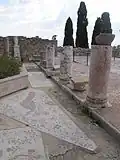 Mosaik in einem römischen Ausgrabungsgelände in Karthago (Roman Villas)
