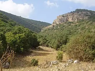 Carmel Gebirge